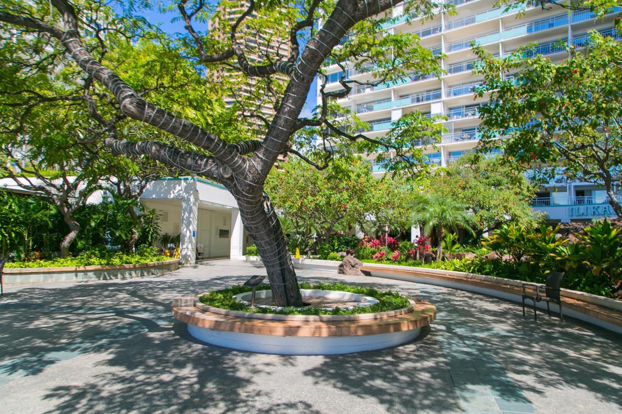 הונולולו Ilikai Tower 1403 City View 1Br מראה חיצוני תמונה